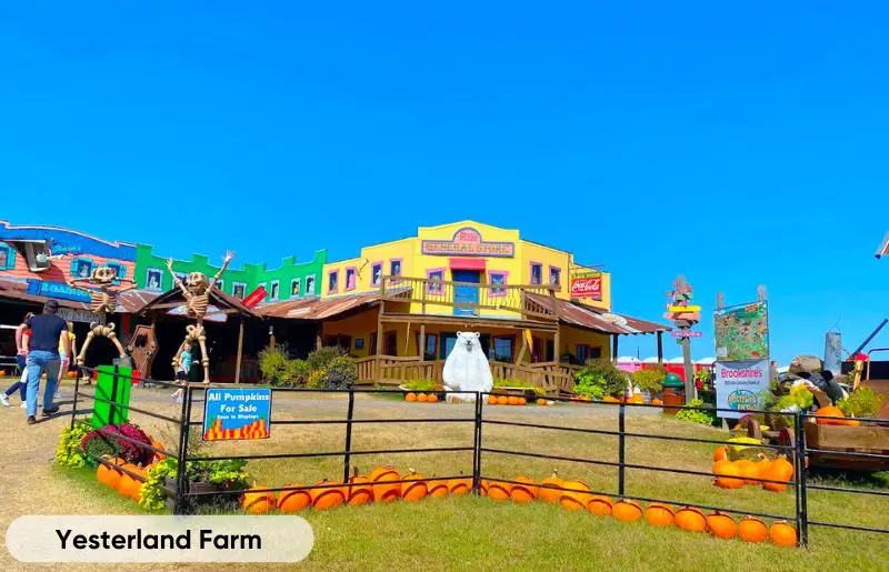 Yesterland Farm