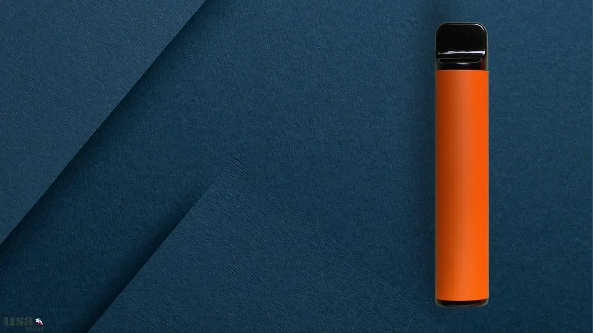 Can You Bring A Vape on A Cruise Ship? (All Types & Cruises) 2024